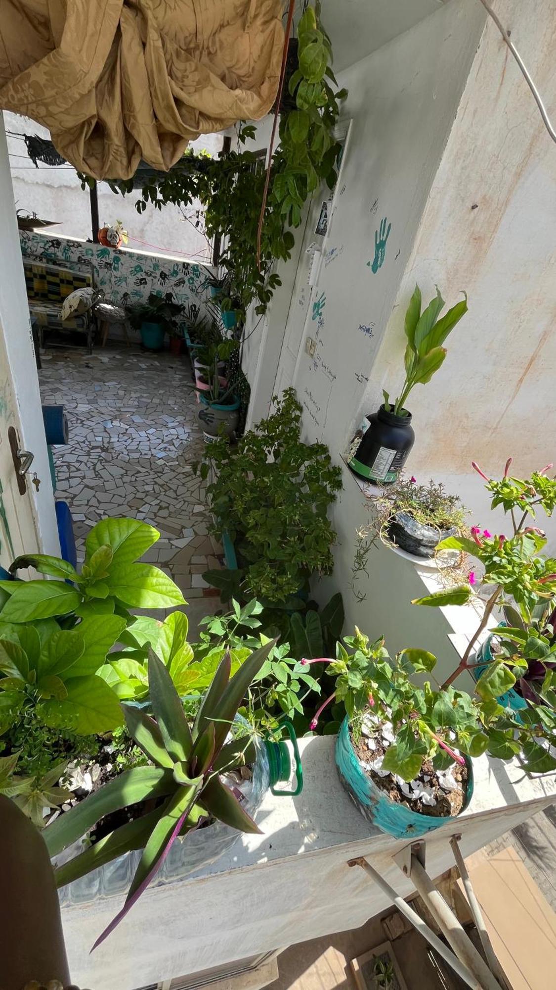 Dar Dyali Rooftop ⁿᵉᵃʳ ⁿᵍᵒʳ ᵇᵉᵃᶜʰ ᵃⁿᵈ ⁱˢˡᵃⁿᵈ داكاغْ المظهر الخارجي الصورة