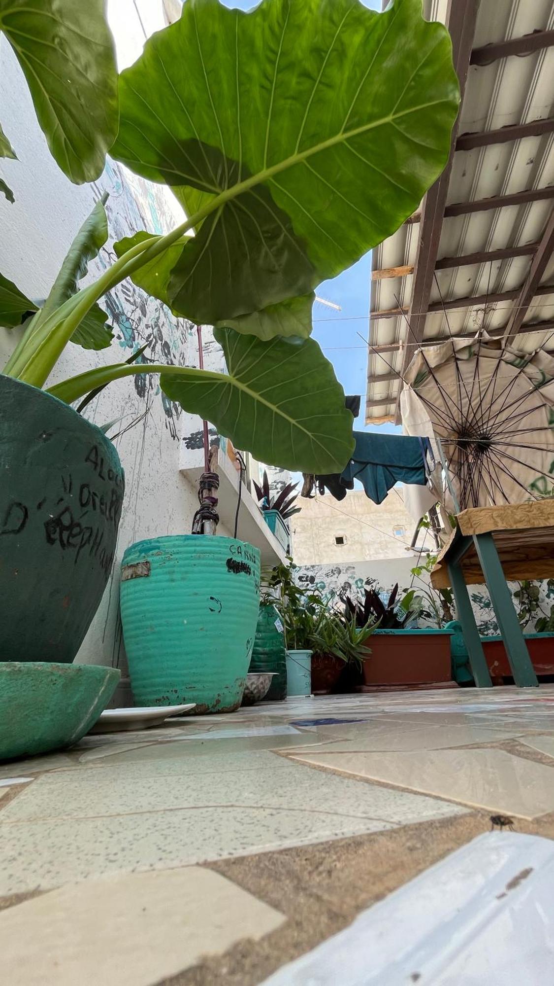 Dar Dyali Rooftop ⁿᵉᵃʳ ⁿᵍᵒʳ ᵇᵉᵃᶜʰ ᵃⁿᵈ ⁱˢˡᵃⁿᵈ داكاغْ المظهر الخارجي الصورة