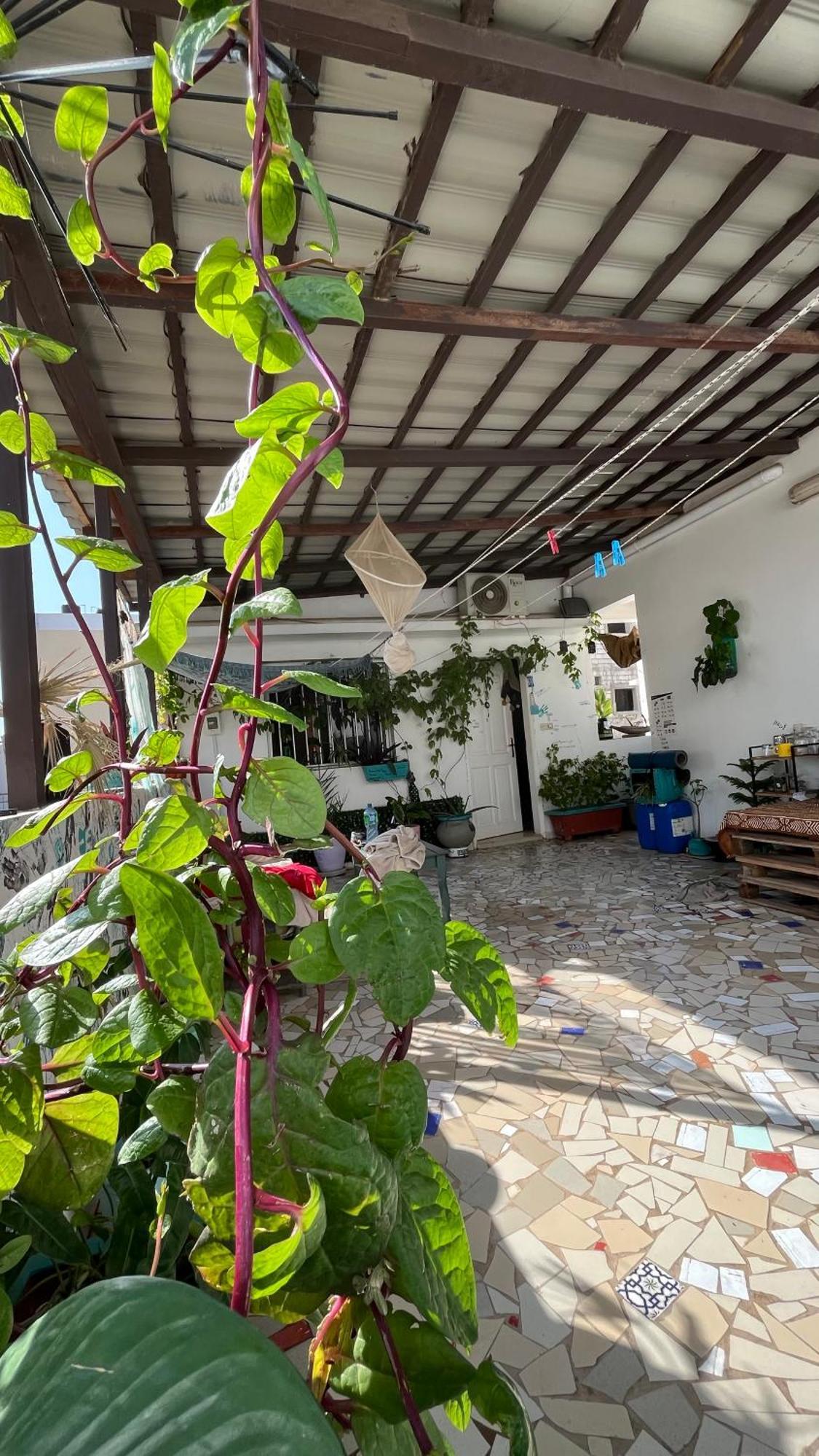 Dar Dyali Rooftop ⁿᵉᵃʳ ⁿᵍᵒʳ ᵇᵉᵃᶜʰ ᵃⁿᵈ ⁱˢˡᵃⁿᵈ داكاغْ المظهر الخارجي الصورة